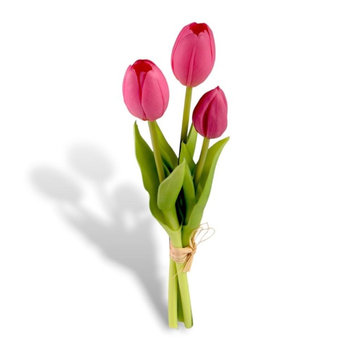 MINI BUSH TULIPANO X3 REAL TOUCH BEAUTY